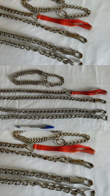 Collar y correas para mascotas, nuevo
