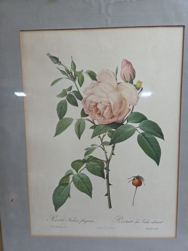 Item 829950 - Image 1