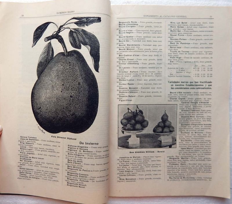 Catálogo de Árboles Frutales y Forestales del Domingo Basso - imagen 5