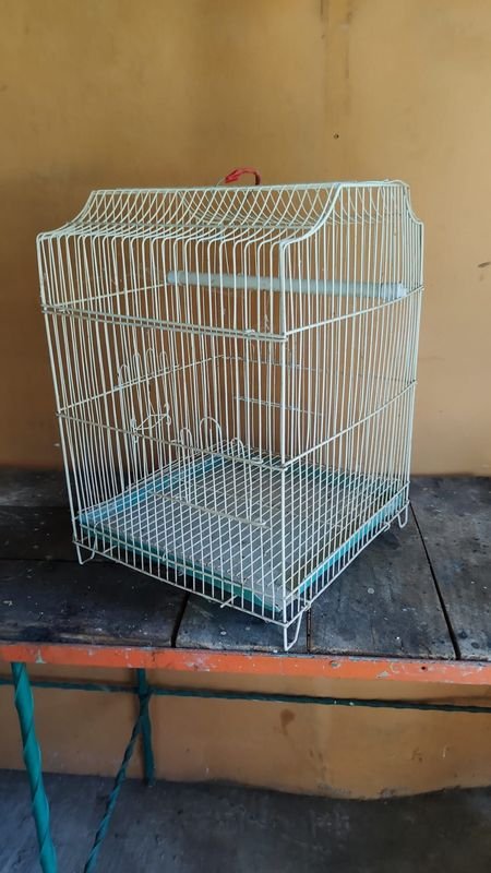 Item 870010 - Image 1