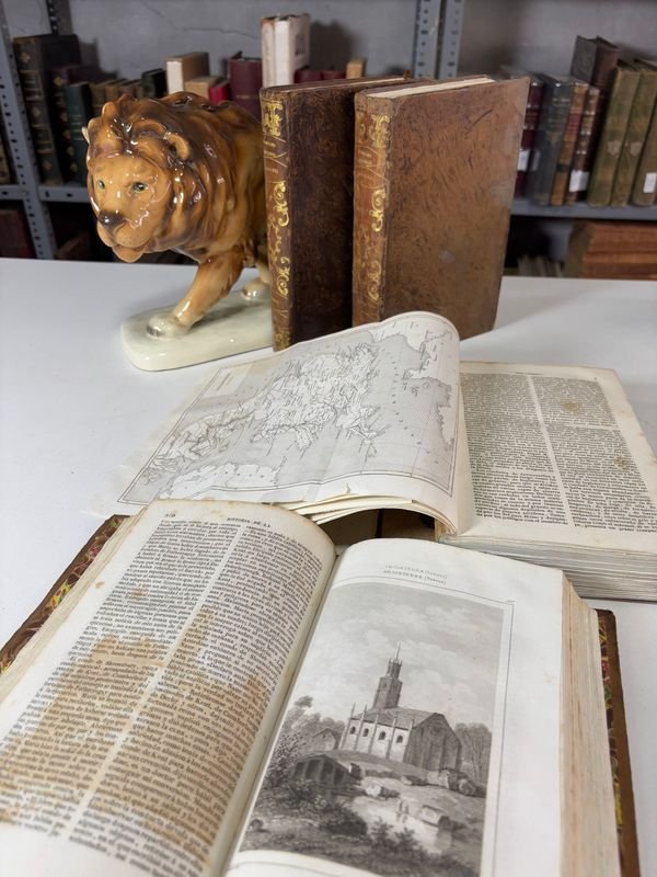 Item 879441 - Image 2