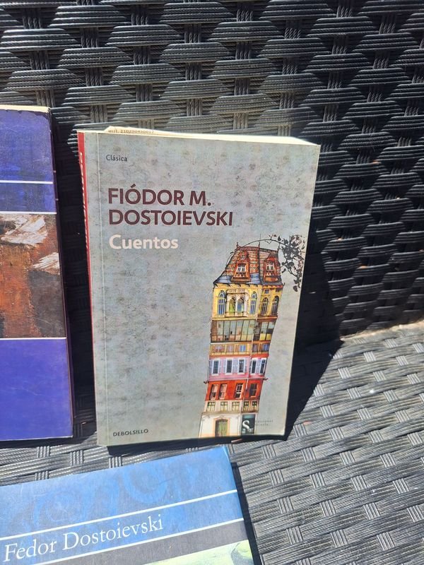 Colección de libros clásicos y diccionario en español - imagen 4