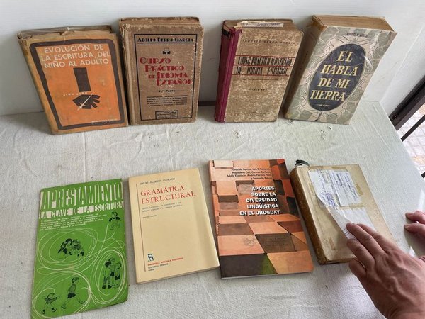 Lote de Libros de Idioma Español y Lingüística - imagen 1