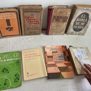 Lote anterior: Lote de Libros de Idioma Español y Lingüística