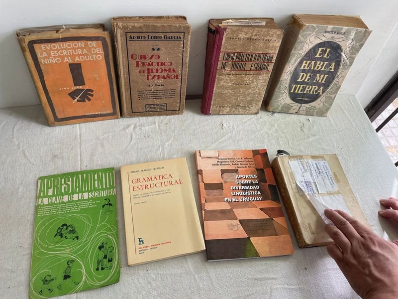 Lote de Libros de Idioma Español y Lingüística