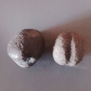 Dos Piedras Indígenas: Piedra Arrojadiza y Mortero para Pulir - imagen 1