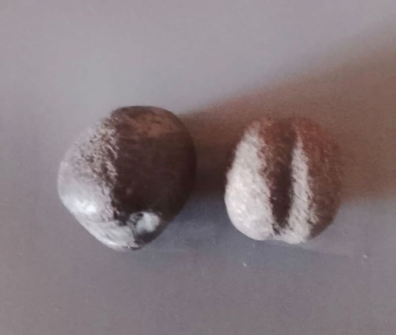 Dos Piedras Indígenas: Piedra Arrojadiza y Mortero para Pulir