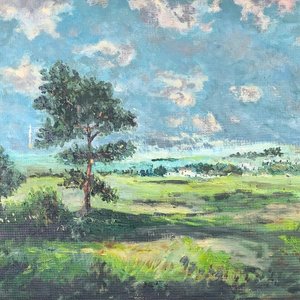 Oleo sobre Fibra "Efecto de Tormenta" - Paisaje Natural con Marco y Certificado - imagen 5