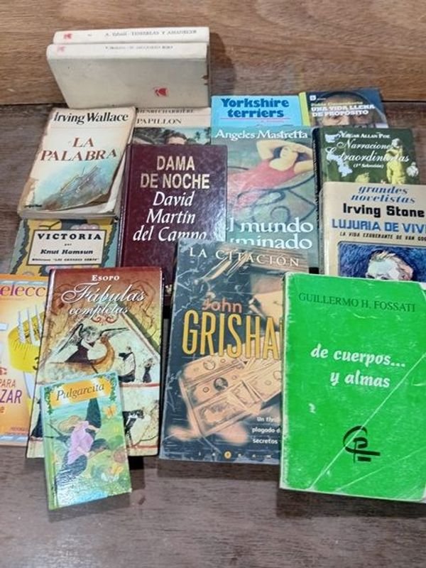 Colección de libros y novelas en español