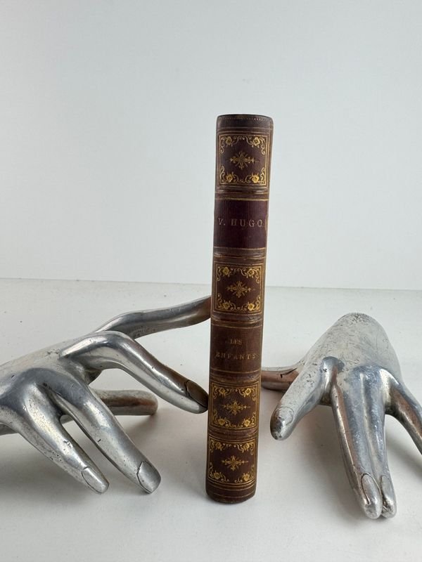 Libro clásico de Victor Hugo - Los niños (El libro de las madres)