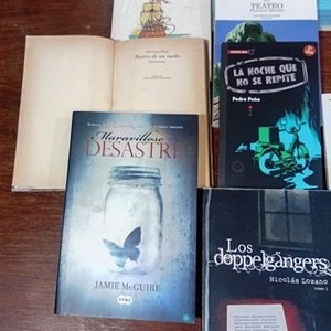 Lote de 16 Libros: Narrativa, Poesía, Teatro y Más - imagen 4