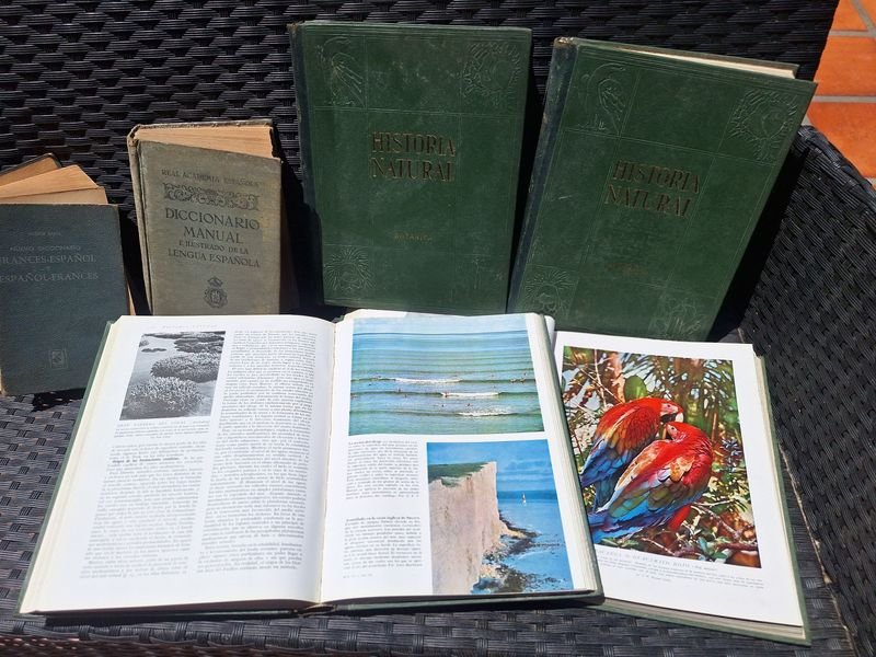 Item 873761 - Image 5