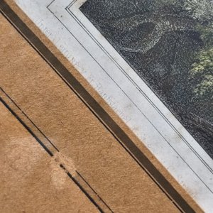 Grabado "Cacería de Jabalí" por Ernest Hanfstangl, con marco dorado y vidrio - imagen 16