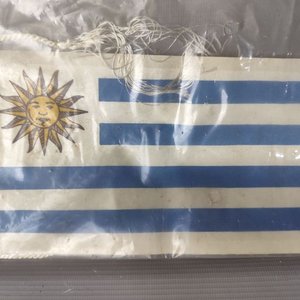 Lote anterior: Pequeña Bandera de Uruguay (Pabellón Nacional) con Sol de Mayo