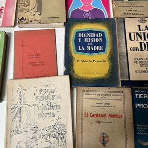 Lote de 18 Libros de Religión Católica y Teología - imagen 7