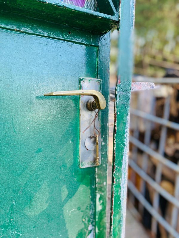 Puerta antigua de chapa verde con detalles ornamentales - imagen 2