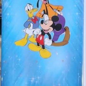Lote siguiente: PLACAS EN PVC MOTIVO PERSONAJES DE DISNEY MEDIDAS 0,20X 4 MTS, TOTAL 8 MT2
