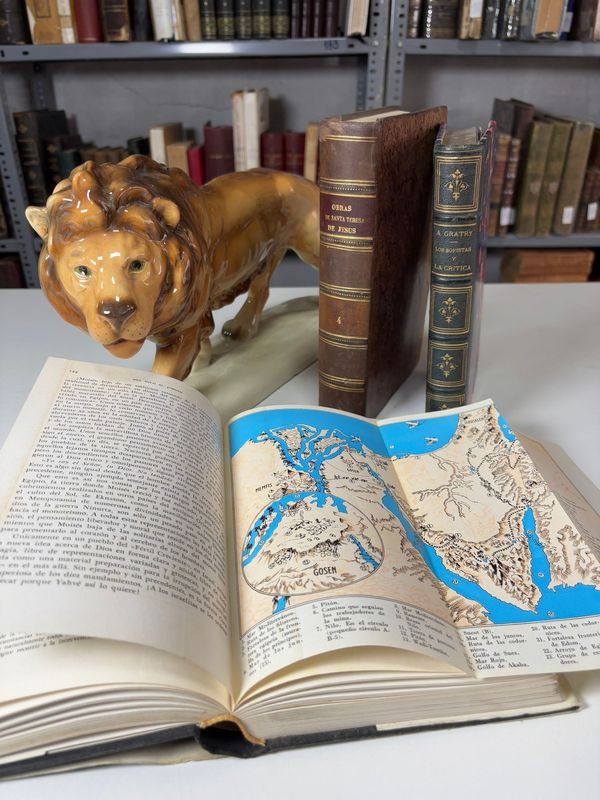 Item 879440 - Image 4