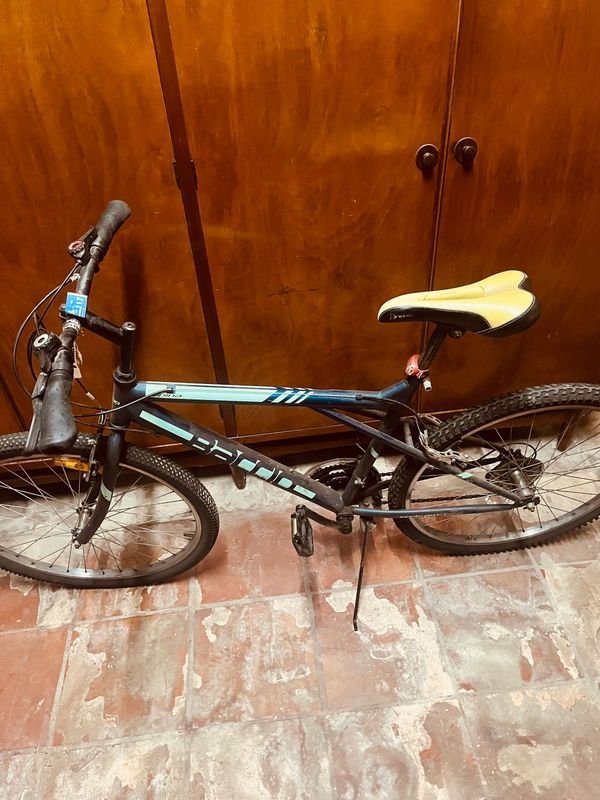 Bicicleta de Montaña Baccio Alpina Rod 26 - imagen 2