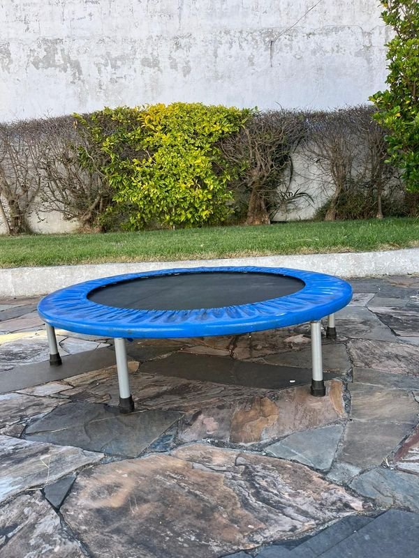 Cama Elástica para Niños - imagen 2