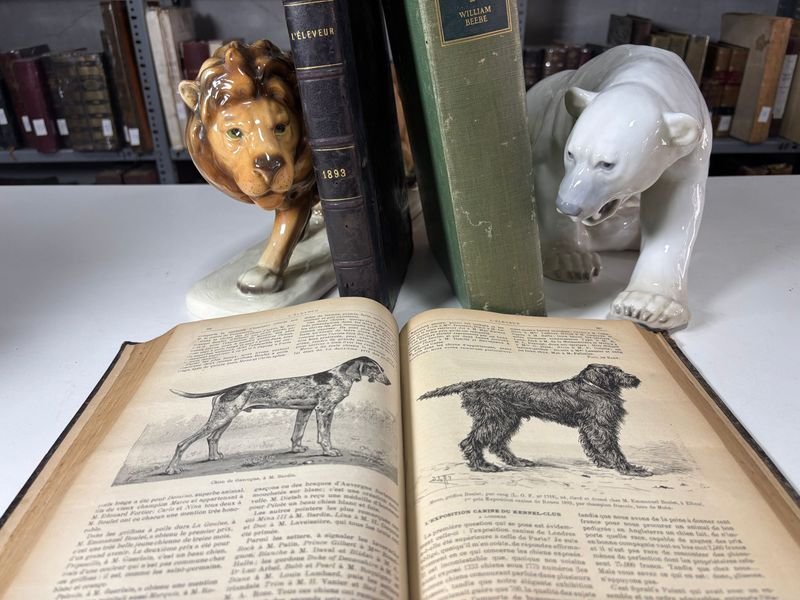 Item 879311 - Image 2