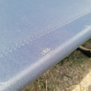 Catre Plegable para Camping - Tela Gris y Caños Beige - imagen 6