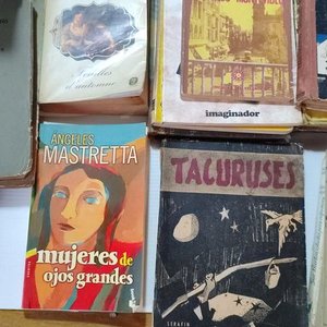 Lote de Libros de Estudio, Colecciones y Textos Varios - imagen 14