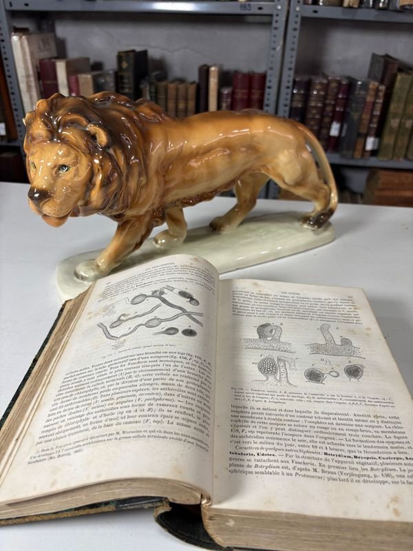 Tratado de Botánica en Francés 1874 - Libro antiguo con estatua de león - imagen 3