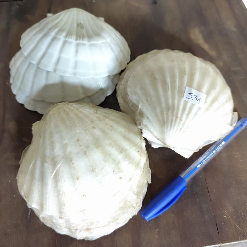 Item 880347 - Image 0