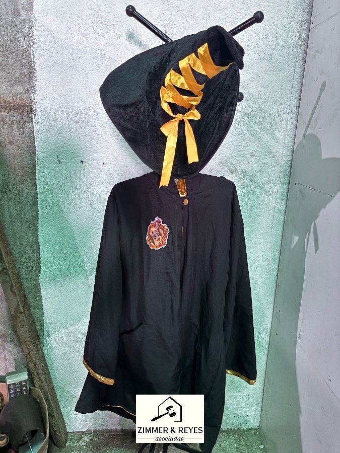 Disfraz de Harry Potter con Varita y Sombrero