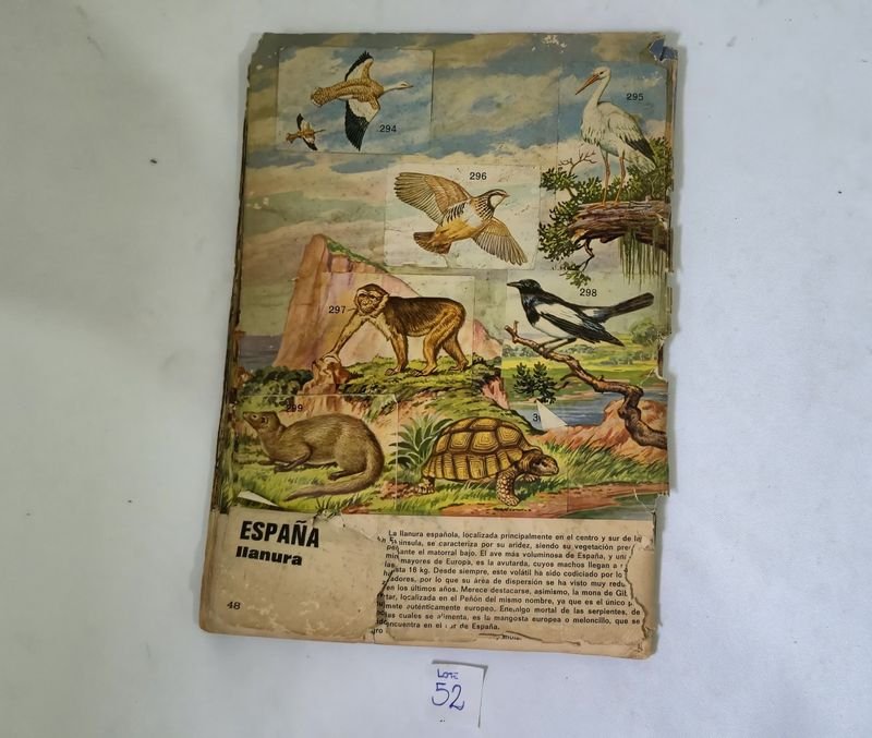 Item 844753 - Image 21