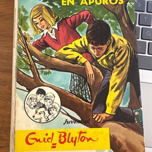 Lote siguiente: Libro Los Cinco se ven en apuros de Enid Blyton