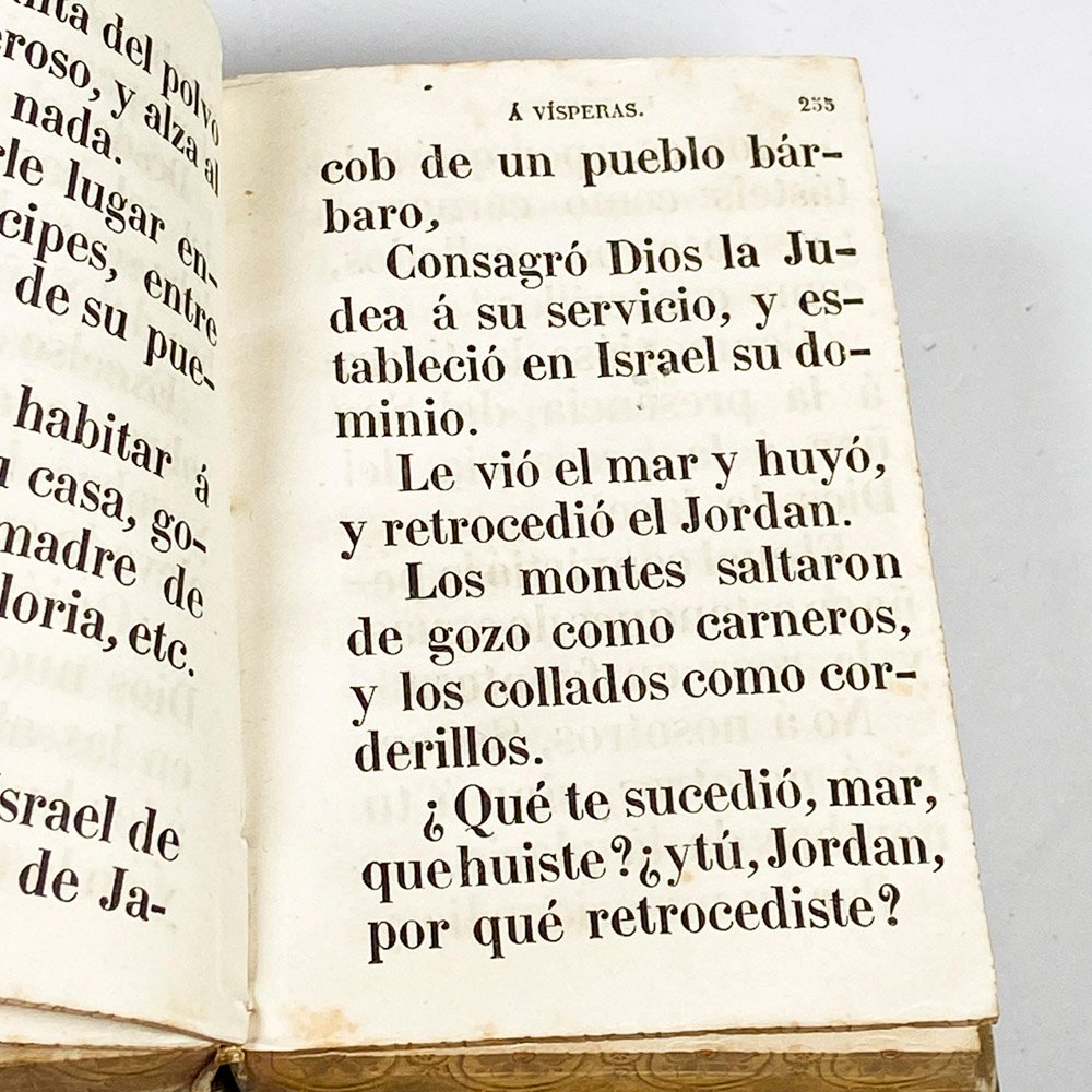 Item 501682 - Image 5