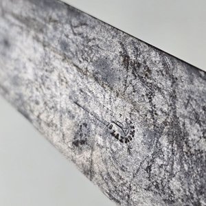 Cuchillo Francés Antiguo Broqua & Scholberg Siglo XIX con Sello 1878 - imagen 2