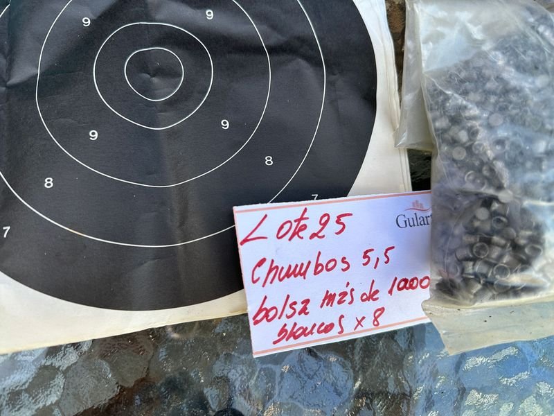 Chumbos 5,5 mas de 3000 - Equipamiento de Tiro - imagen 2