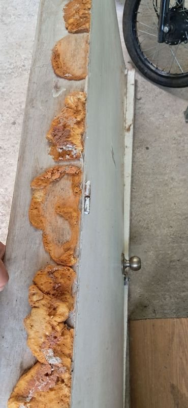 Item 881104 - Image 2