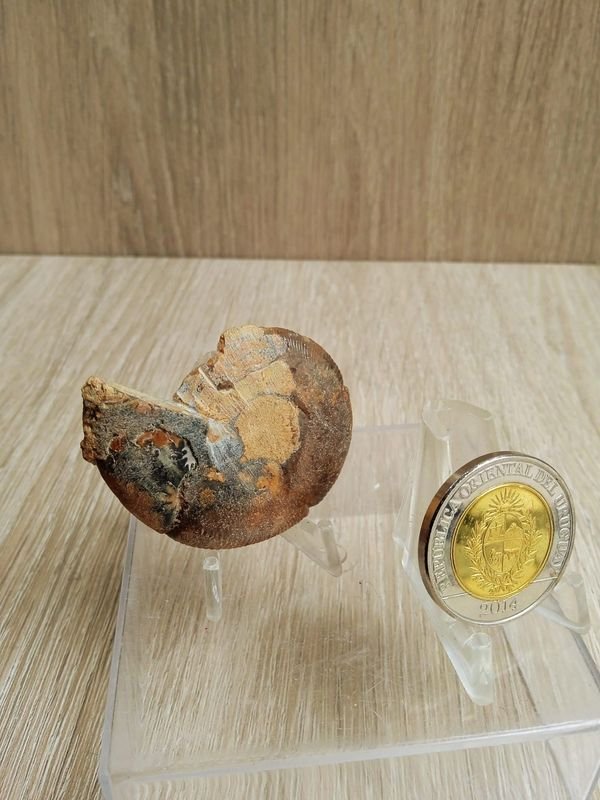 Item 884278 - Image 1