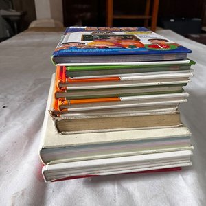 Lote siguiente: Lote de Libros Infantiles y Escolares