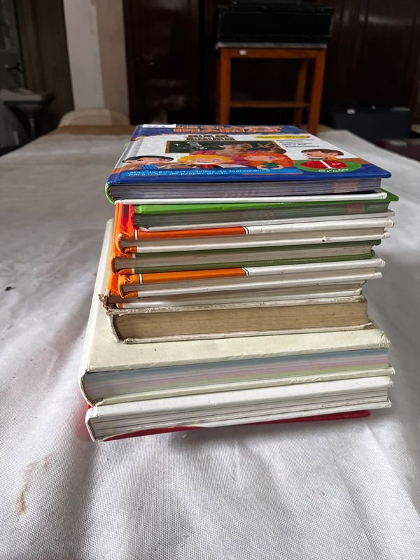 Lote de Libros Infantiles y Escolares