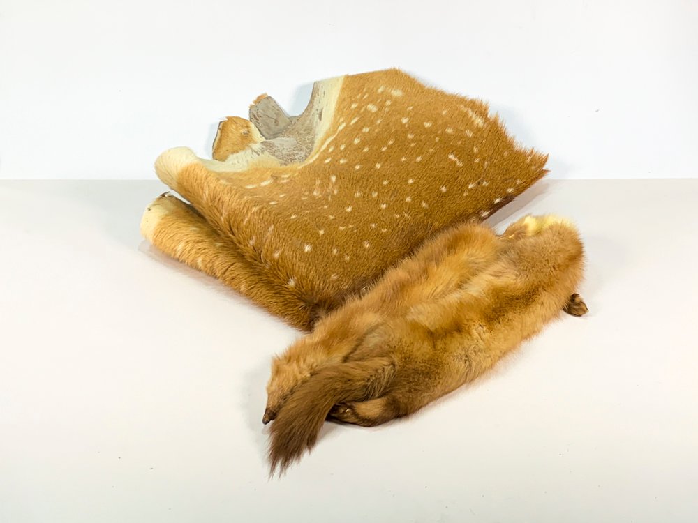 Item 486865 - Image 1