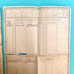Documentos y Pólizas de Seguro de "La Uruguaya" - Año 1938 - imagen 10