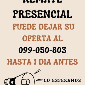 Remate de Casa de Familia en Salto: Muebles de Estilo, Bronce, Cristaleria y Más - imagen 2