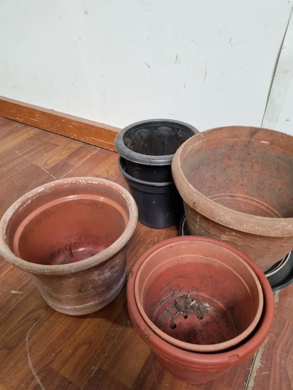 Item 865916 - Image 2