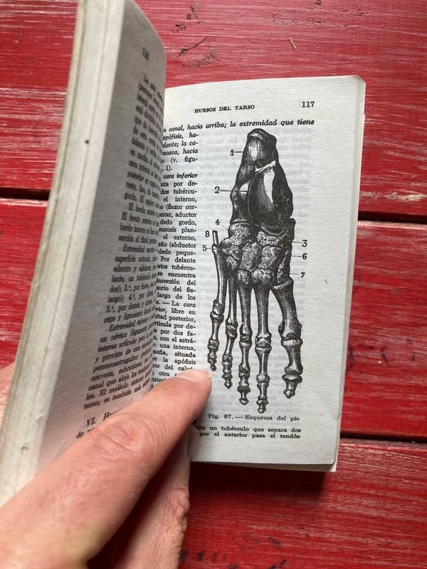 Item 872485 - Image 1