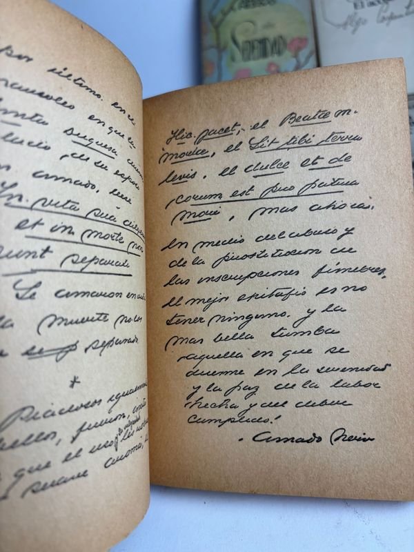 Colección de libros de literatura latinoamericana y universal - imagen 14