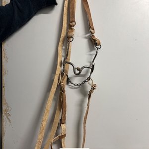 Lote siguiente: Cabezada y Freno de Acero Inoxidable para Equinos