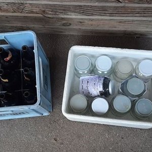 Bandeja con Botellas y Conservadora con Frascos - imagen 2