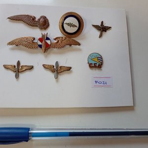 Conjunto de Alas e Insignias Militares Uruguayanas Antiguas y Modernas - imagen 3