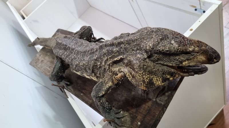 Item 718368 - Image 5