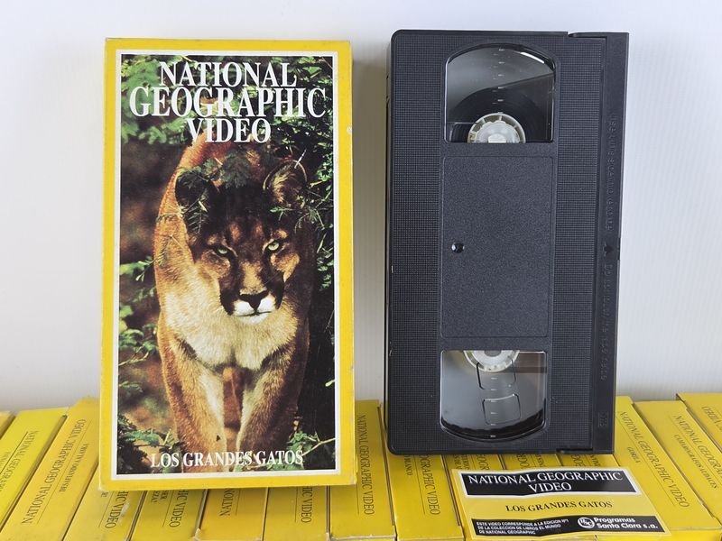 Colección de VHS National Geographic en Excelente Estado - imagen 7